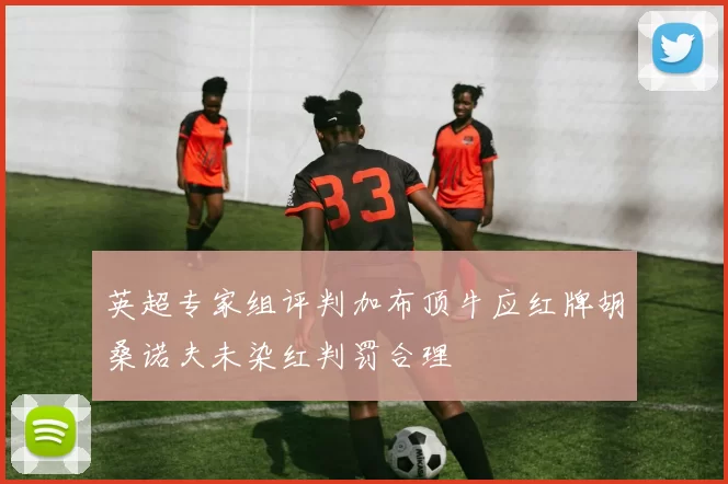 英超专家组评判加布顶牛应红牌胡桑诺夫未染红判罚合理