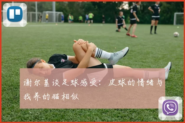 谢尔基谈足球感受：皮球的情绪与我养的猫相似